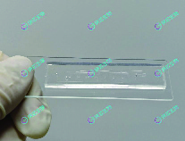 微液滴芯片（PDMS).jpg