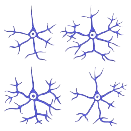 神经生物-透明.png